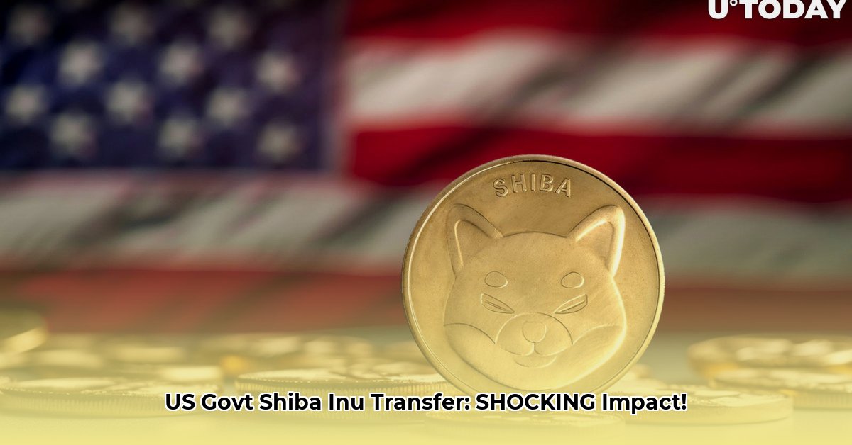 shiba-inu-us-government-transfer